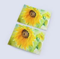 Sunflower - Greeting Cards