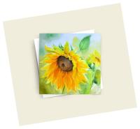 Sunflower - Greeting Cards