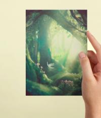 Fairy Greeting Cards, Set of 3 Designs, Bulk Pack of Cards