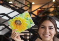 Sunflower - Greeting Cards