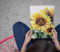 Sunflowers - Single Card or Bulk 10 Pack of Greeting Cards