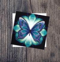 Butterfly Greeting Cards, Set of 5 Designs, Bulk Pack of Cards