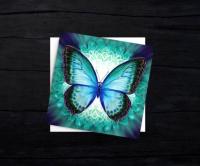 Butterfly Greeting Cards, Set of 5 Designs, Bulk Pack of Cards