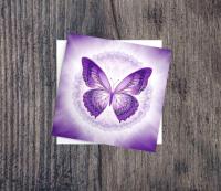 Butterfly Greeting Cards, Set of 5 Designs, Bulk Pack of Cards