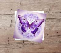 Butterfly Greeting Cards, Set of 5 Designs, Bulk Pack of Cards