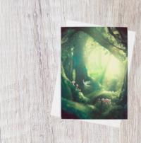Fairy - Greeting Cards