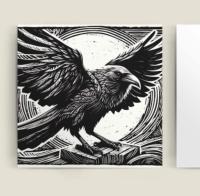 Set of 3 Cards, Raven Greeting Cards, Bulk Pack of Cards