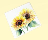 Sunflowers - Single Card or Bulk 10 Pack of Greeting Cards