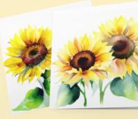 Sunflowers - Single Card or Bulk 10 Pack of Greeting Cards