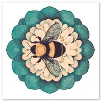 Bumble Bee Set, Gift Cards, 3 Designs, Bulk Pack of Cards