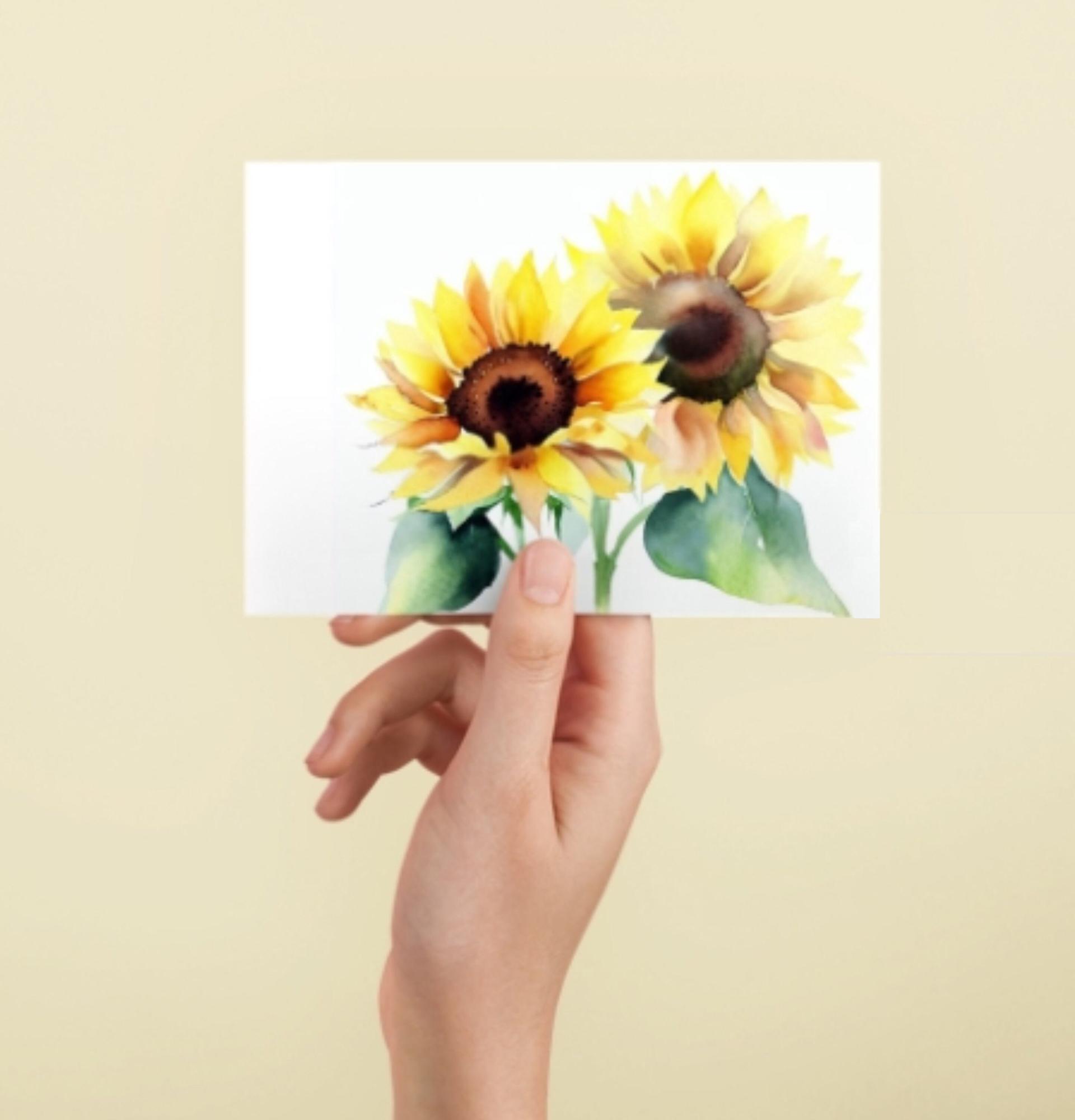 Sunflowers - Single Card or Bulk 10 Pack of Greeting Cards